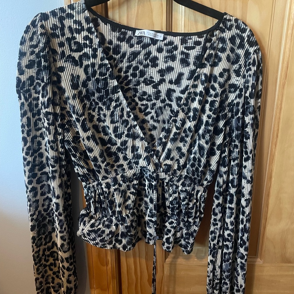 Zara Cheetah Long Sleeves Top